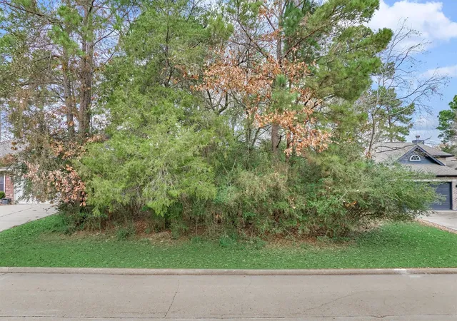 Photo 4 of Land for sale at 12614 Brightwood Dr, Montgomery, TX 77356 | MLS# 50600321 | Listing updated on 2026-08-09