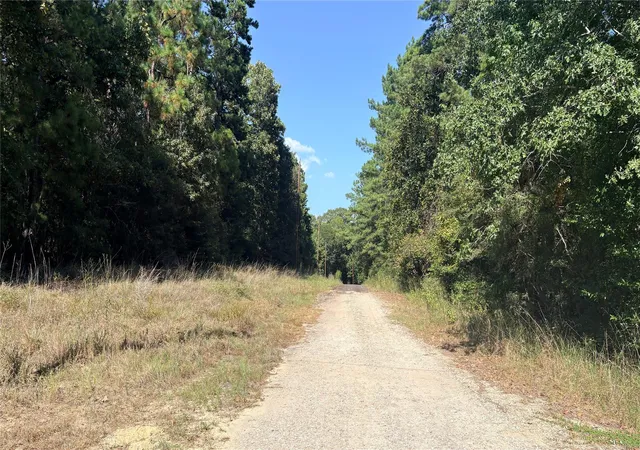 1st image of Lot 28 & 29 25th St, Ivanhoe, TX 75979 | MLS# 27288934