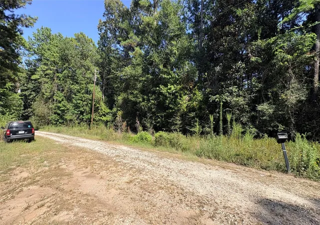 3rd image of Lot 28 & 29 25Th St, Ivanhoe, TX 75979 | MLS# 27288934