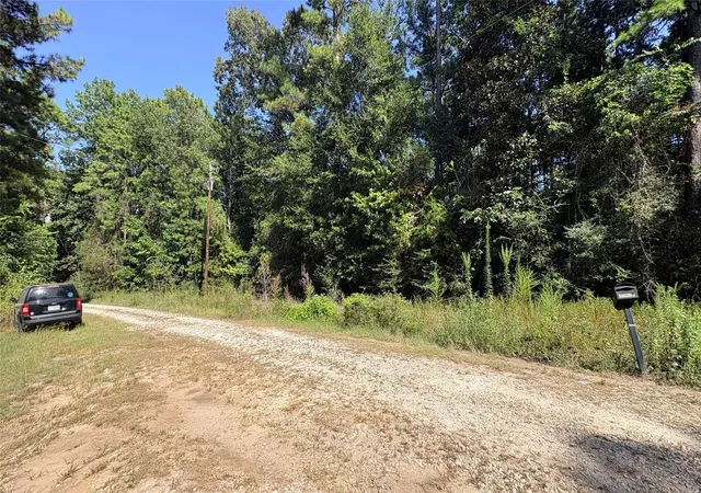 4th image of Lot 28 & 29 25Th St, Ivanhoe, TX 75979 | MLS# 27288934