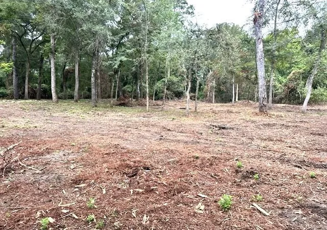 5th image of 0 Pine Creek Rd, Hockley, TX 77447 | MLS# 40424343