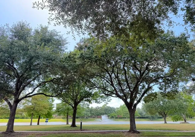 20th image of 3211 Double Lake Dr, Missouri City, TX 77459 | MLS# 7788060