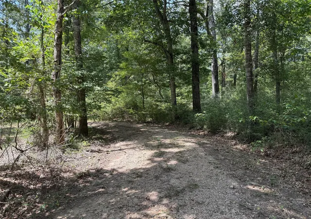 4th image of 1470 Pr 8060, Woodville, TX 75979 | MLS# 79911616
