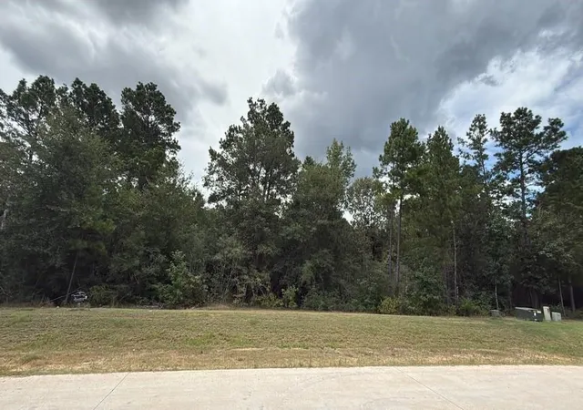 Photo 4 of Sale Pending at 23725 Birch Grv Rd, Montgomery, TX 77316 | MLS# 76383843 | Listing updated on 2026-09-01