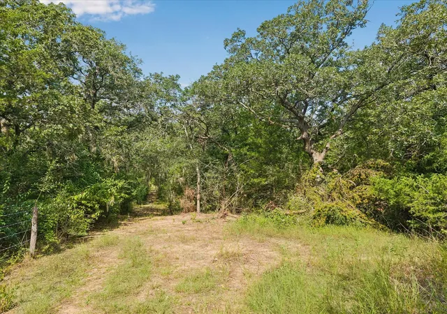 Photo 3 of Land for sale at 0001 Highway 159 W, Bellville, TX 77418 | MLS# 34700419 | Listing updated on 2026-09-04