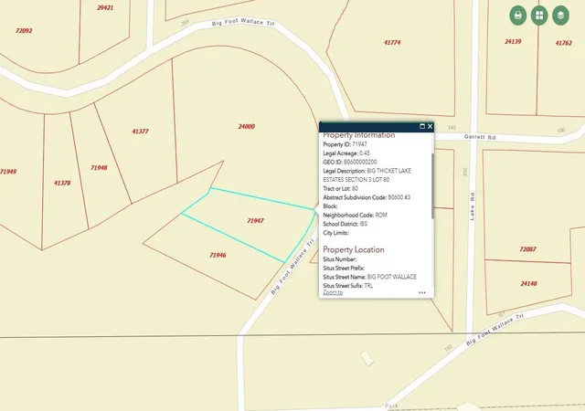3rd image of 351 Big Foot Wallace Trl, Livingston, TX 77351 | MLS# 21266686