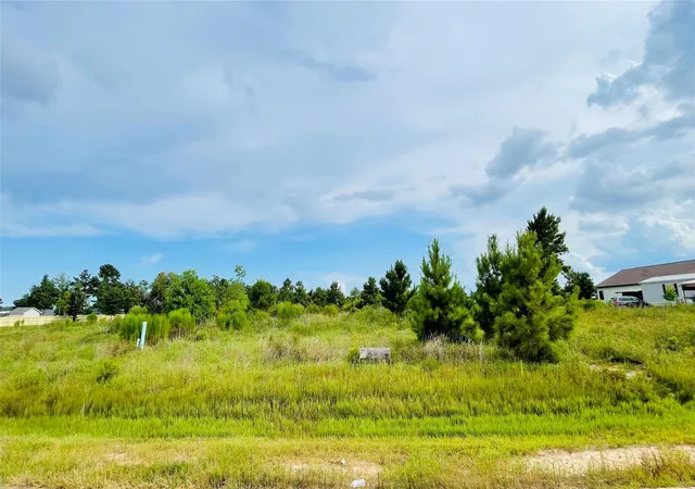Photo 3 of Land for sale at 127 Road 5130, Cleveland, TX 77327 | MLS# 83434067 | Listing updated on 2026-08-09