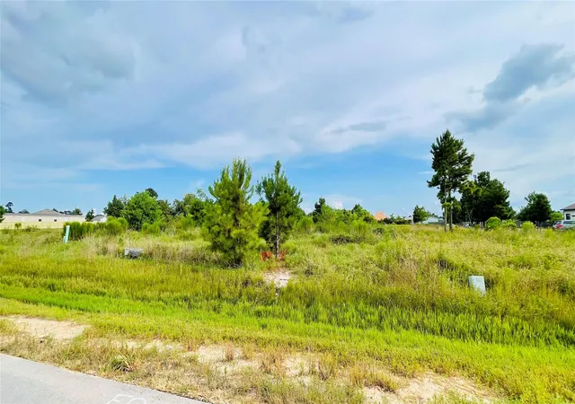 Photo 3 of Land for sale at 127 Road 5130, Cleveland, TX 77327 | MLS# 83434067 | Listing updated on 2026-08-09
