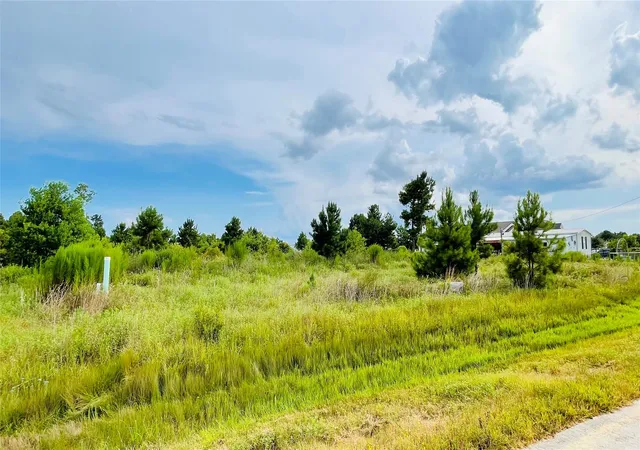 Photo 4 of Land for sale at 127 Road 5130, Cleveland, TX 77327 | MLS# 83434067 | Listing updated on 2026-08-09