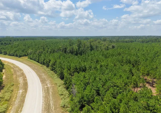 Photo 3 of Land for sale at 12046 Compassion Ln, Willis, TX 77378 | MLS# 15756713 | Listing updated on 2026-08-13