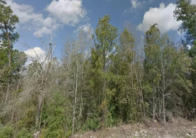 1st image of 0 R44260 R44260, Conroe, TX 77304 | MLS# 91747498