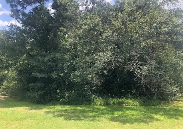 Photo 1 of Land for sale at 0000 County Rd 2134 Off Of Milvid, Cleveland, TX 77327 | MLS# 14371708 | Listing updated on 2026-08-10