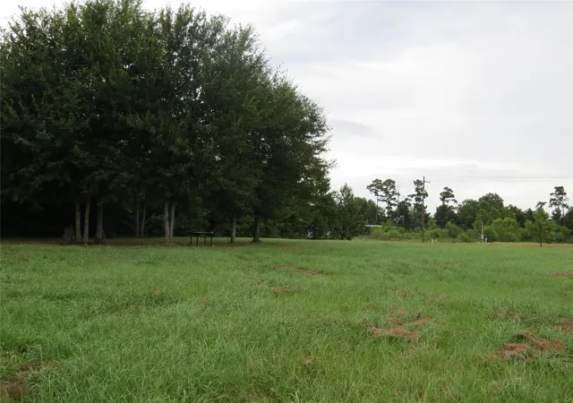Photo 4 of Land for sale at 709 County Rd 3554, Cleveland, TX 77327 | MLS# 4853590 | Listing updated on 2026-09-19