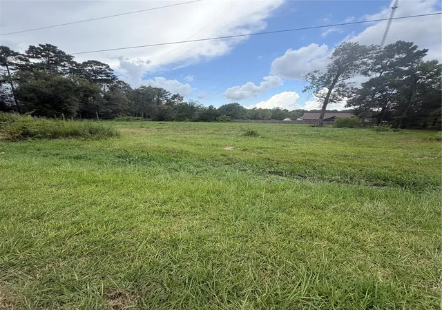 4th image of 93 & 113 County Road 3669A Road, Splendora, TX 77372 | MLS# 33882269