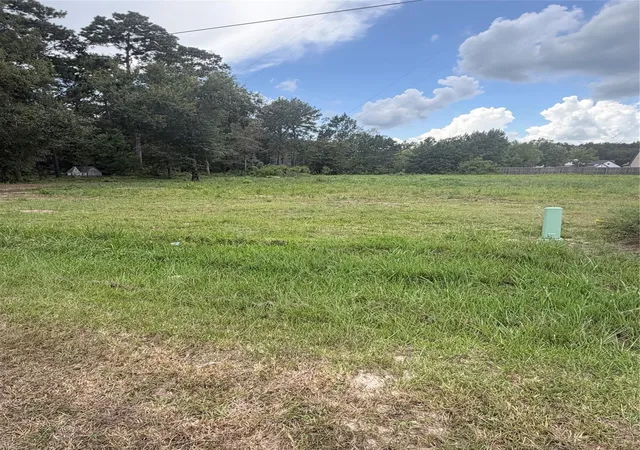 5th image of 93 & 113 County Road 3669A Road, Splendora, TX 77372 | MLS# 33882269