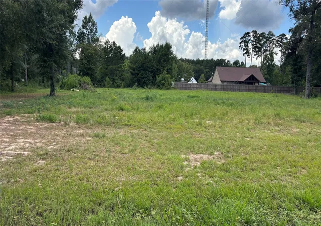 6th image of 93 & 113 County Road 3669a Road, Splendora, TX 77372 | MLS# 33882269