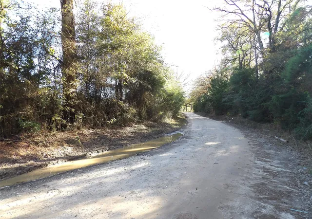 33rd image of Tbd Us Hwy 287 / Cr 4140, Crockett, TX 75835 | MLS# 4787474