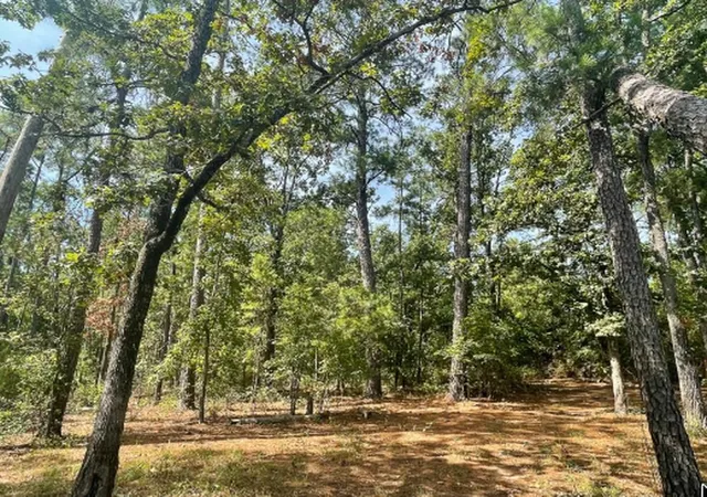 2nd image of 750 Private Road 8551, Broaddus, TX 75929 | MLS# 24008268