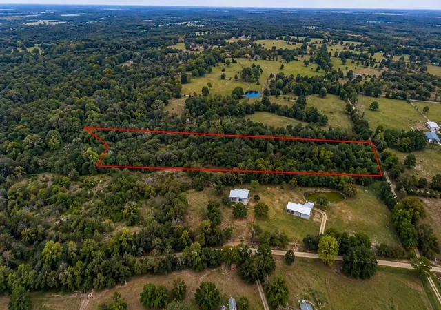 Photo 1 of Land for sale at 0 Newport Ln, Midway, TX 75852 | MLS# 19107055 | Listing updated on 2026-08-24