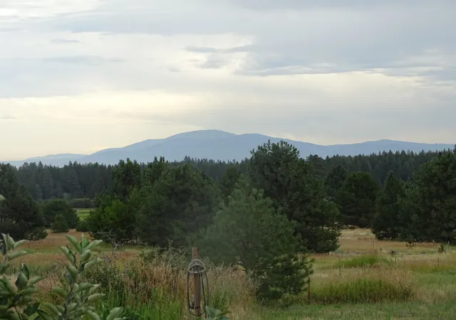 image of 32002 N Spotted Rd, Deer Park, WA 99006 | MLS# 202620986