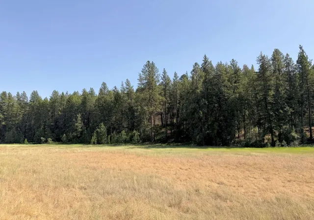 3rd image of 001 E Miles/Creston Rd, Creston, WA 99117 | MLS# 202622016