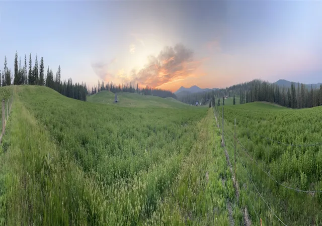 Photo 2 of Land for sale at Xxxx Rocky Top Way, Deer Park, WA 99006 | MLS# 202622495 | Listing updated on 2026-09-04