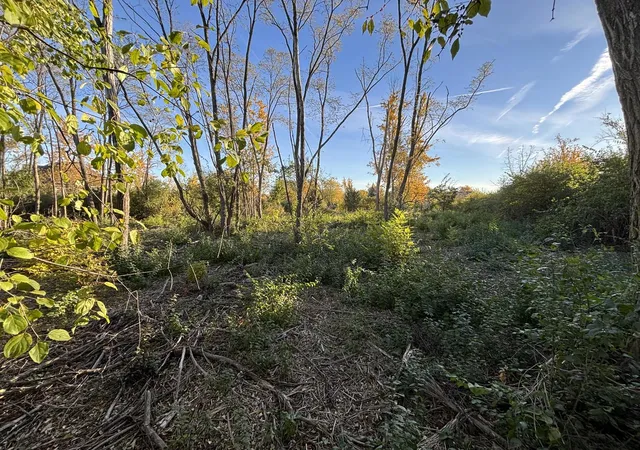 2nd image of 21647 Owens Rd, Mokena, IL 60448 | MLS# 12510262
