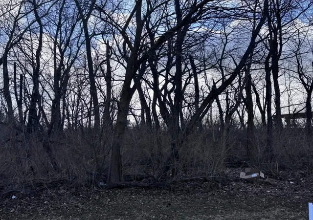 1st image of 1859 Erin Ln, Morris, IL 60450 | MLS# 12513938