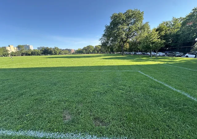 2nd image of 3021 S Michigan Ave, Chicago, IL 60616