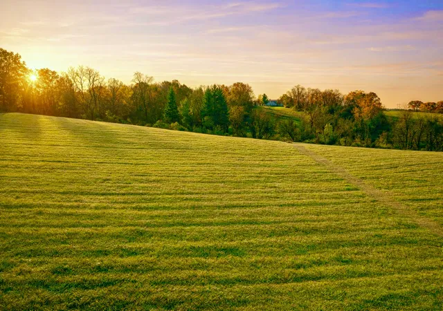 Photo 3 of Land for sale at 9001 Sundance Ct, Savanna, IL 61074 | MLS# 12705752 | Listing updated on 2026-08-19