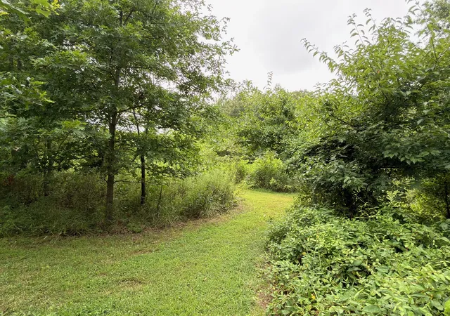 68th image of 2301 Bundyville Rd, Walnut Hill, IL 62893 | MLS# 12712307