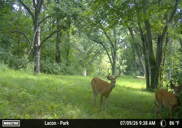 Photo 28 of Land for sale at 430 Il 26 Route, Lacon, IL 61540 | MLS# 12713963 | Listing updated on 2026-08-21