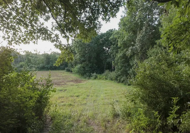 Photo 2 of Land for sale at 430 Il 26 Route, Lacon, IL 61540 | MLS# 12713963 | Listing updated on 2026-08-21