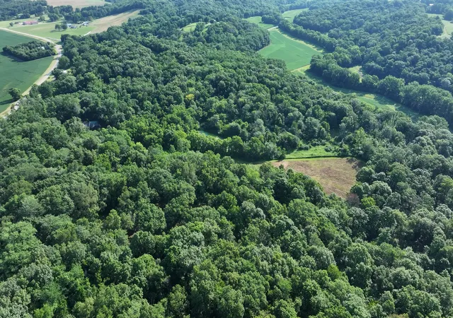 Photo 3 of Land for sale at 430 Il 26 Route, Lacon, IL 61540 | MLS# 12713963 | Listing updated on 2026-08-21