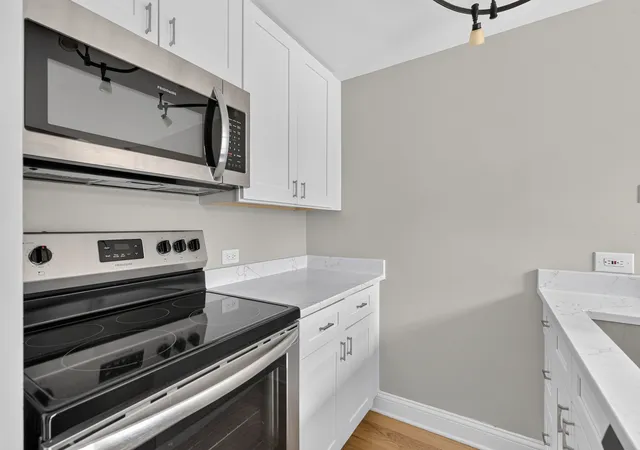 Listing Photo 4 - Condo for sale in building located at 1221 N Dearborn St, Chicago, IL 60610 - Unit #812N