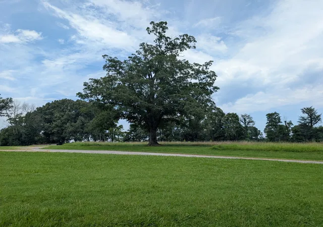 Photo 3 of Land for sale at 000 Fairgrounds Rd, Vienna, IL 62995 | MLS# 12719202 | Listing updated on 2026-08-18