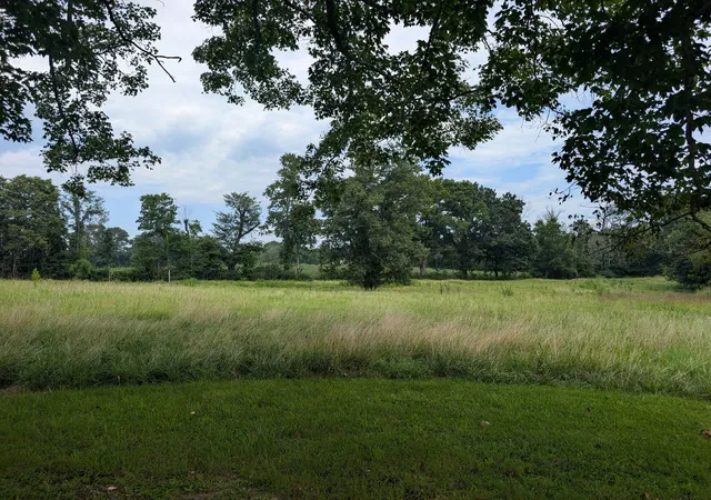 Photo 3 of Land for sale at 000 Fairgrounds Rd, Vienna, IL 62995 | MLS# 12719202 | Listing updated on 2026-08-18