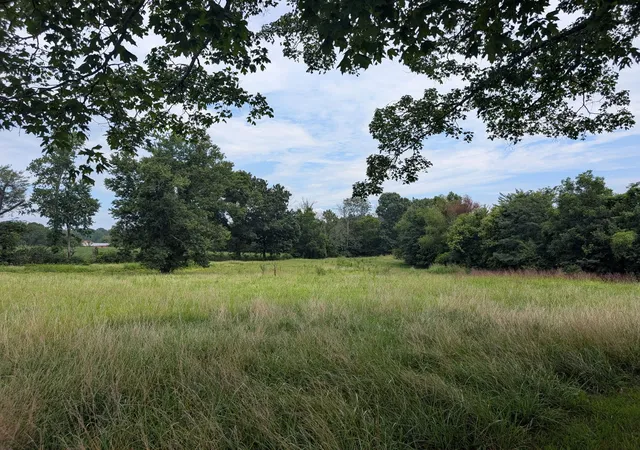 Photo 4 of Land for sale at 000 Fairgrounds Rd, Vienna, IL 62995 | MLS# 12719202 | Listing updated on 2026-08-18
