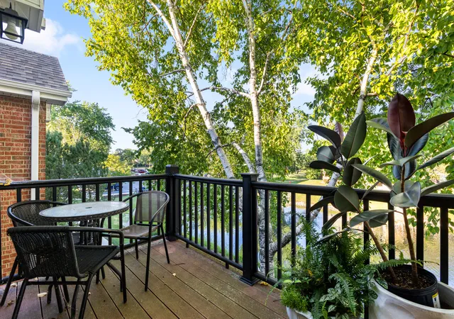 3rd image of 1344 Mcdowell Rd, Naperville, IL 60563