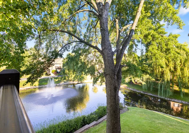 4th image of 1344 Mcdowell Rd, Naperville, IL 60563
