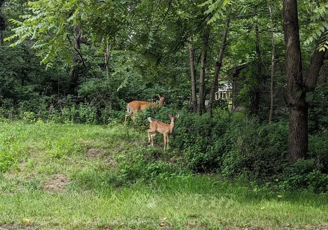 Photo 2 of Land for sale at 310 Slippery Rock Dr, Dixon, IL 61021 | MLS# 12720241 | Listing updated on 2026-08-27