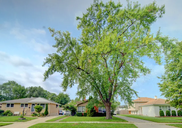 Photo 3 of Single family home for sale at 513 W Willow Glen, Addison, IL 60101 | MLS# 12730409 | Listing updated on 2026-09-23