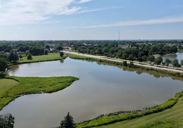 30th image of 31 S Salem Dr, Schaumburg, IL 60193 | MLS# 12730977