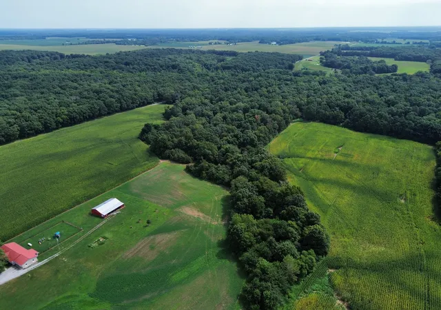 Photo 2 of Sale Pending at 000 Iuka Rd, Iuka, IL 62849 | MLS# 12732305 | Listing updated on 2026-08-17