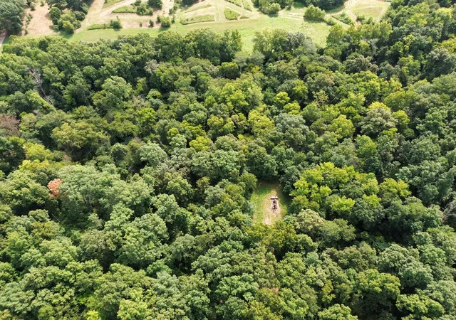 Photo 4 of Sale Pending at 000 Iuka Rd, Iuka, IL 62849 | MLS# 12732305 | Listing updated on 2026-08-17