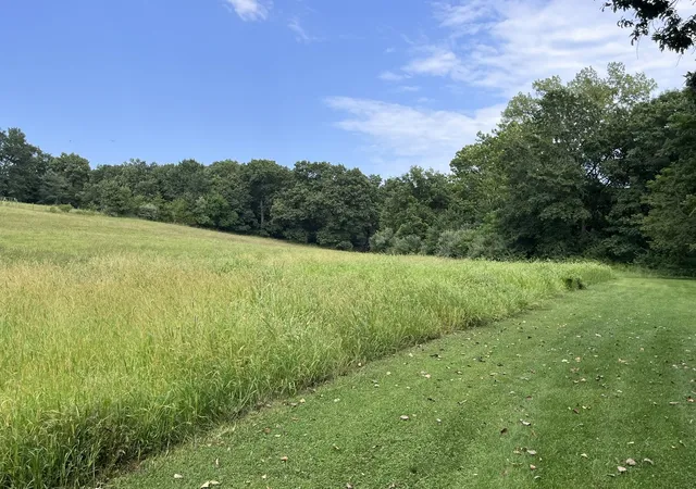 Photo 3 of Land for sale at 1720 Hugenberg Ln, Fowler, IL 62338 | MLS# 12732314 | Listing updated on 2026-10-05