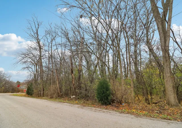 Photo 3 of Land for sale at 22771 Lake Park Ave, Round Lake Beach, IL 60073 | MLS# 12732657 | Listing updated on 2026-09-01