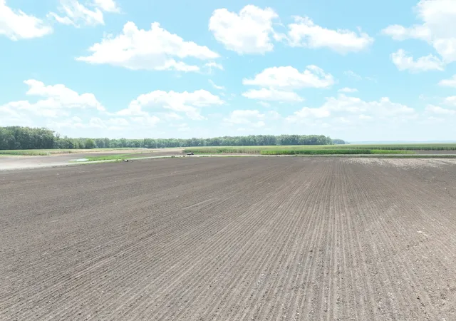 Photo 21 of Land for sale at Tbd W County Rd 2875e, Ellery, IL 62863 | MLS# 12733828 | Listing updated on 2026-08-20