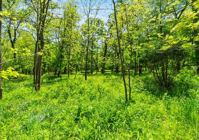 Photo 2 of Land for sale at 26359 N Hickory Rd, Mundelein, IL 60060 | MLS# 12733961 | Listing updated on 2026-10-26