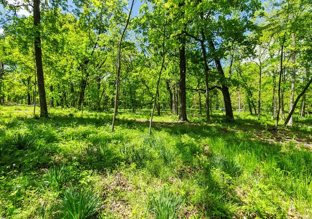 Photo 4 of Land for sale at 26359 N Hickory Rd, Mundelein, IL 60060 | MLS# 12733961 | Listing updated on 2026-10-26
